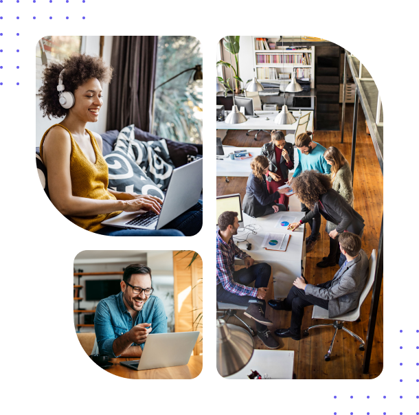 insightful partner program